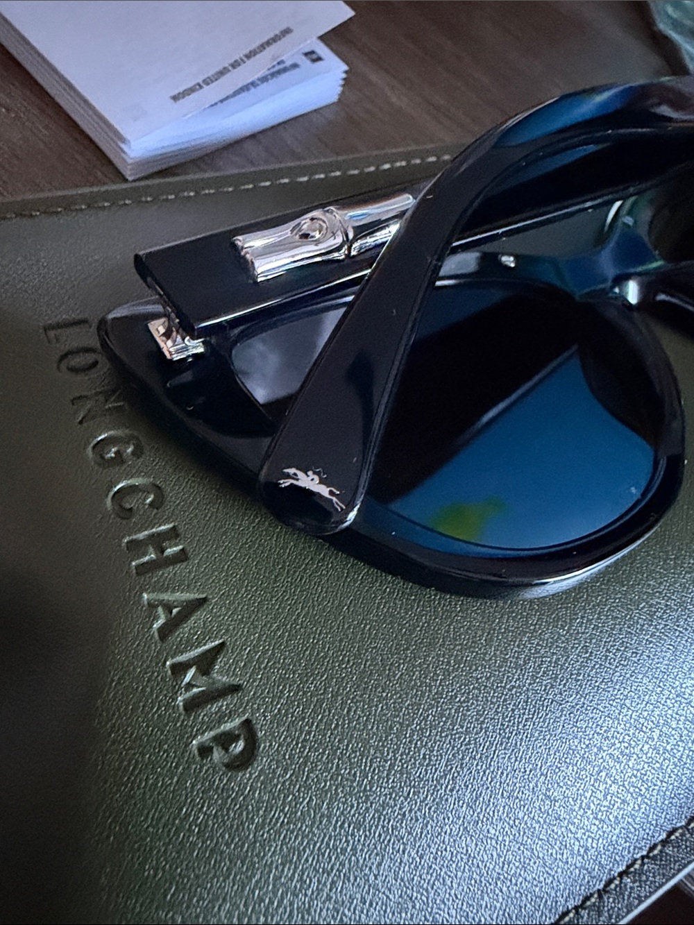 AUTHENTIC Longchamp Full Inclusion Sunglasses - Picture 9 of 9